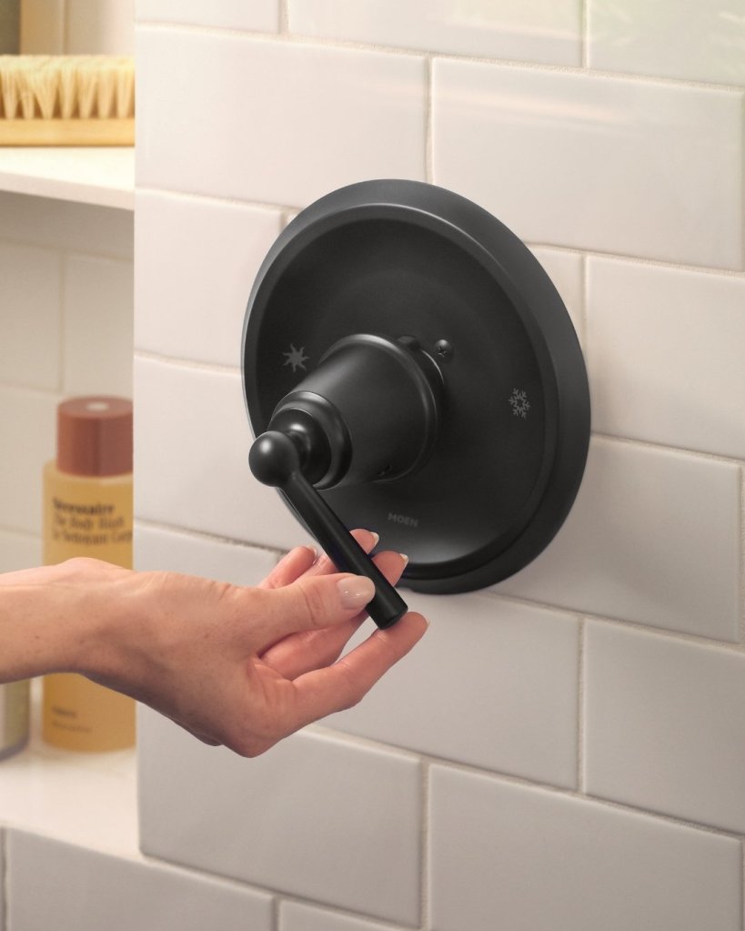 Moen Matte Black Shower Handle